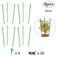 thumbnail image 1 of Juego De Jaulas De Apoyo Para Tomates, Marco De Escalada Para Plantas Con Pico De Autorriego Y Clip De Fijación Eigraketly TO005231-02, 1 of 7