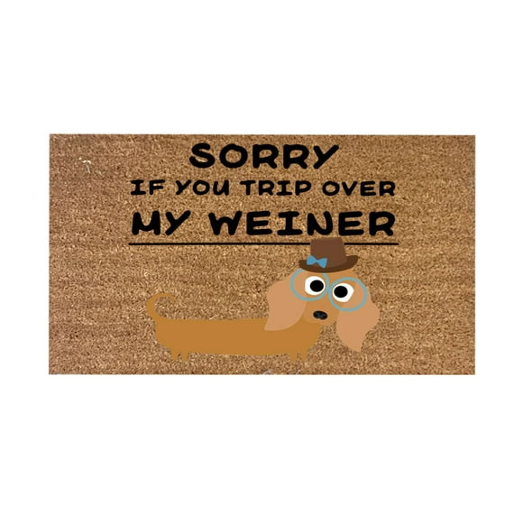 24x16IN Shoe Mats for Entryway Indoor , Coco Coir Mat Dachshund Cute And Funny Dog Welcome Mat Welcome Mat Funny Inside Door Mats for Home Entrance Dirt Trapper Entryway Floor Mats for Outside