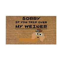 Warehouse Clearance Cute And Funny Dog Welcome Mat Coco Coir Door Mat with Heavy Duty Backing, Welcome Doormat, Funny Welcome Outside Entry Decor for Patio Washable Mats for Entryway 16x24 In Brown