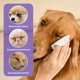 thumbnail image 5 of pstuiky Suministros para mascotas Pañuelos para ojos de mascotas Pañuelos de limpieza para manchas de lágrimas Adecuados para gatos para limpiar los ojos y eliminar las manchas de lágrimas, 5 of 6
