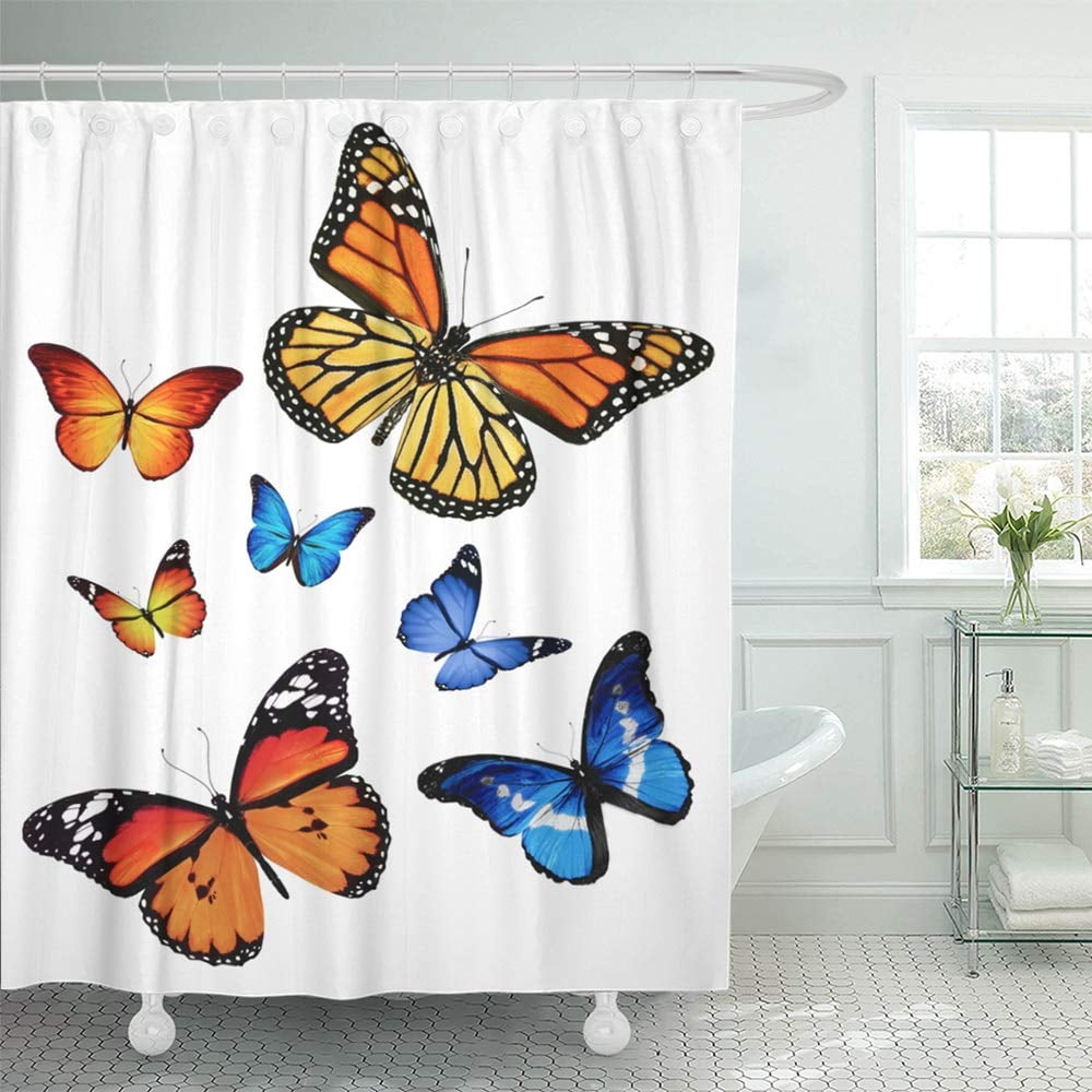 KSADK Blue Butterfly Many Different Butterflies White Colorful Flying Black Beauty Bright Shower