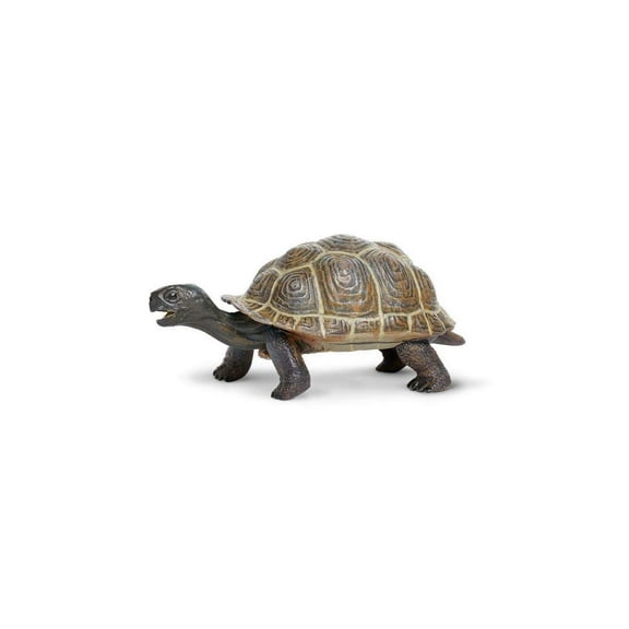Safari Ltd. Tortoise Baby Figurine - Lifelike 5.5" Model Figure - Educational Toy for Boys, Girls, and Kids Ages 18M 