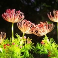 thumbnail image 4 of Fufafayo under $5 Solar Garden Lights Outdoor, Solar Flowers Lights, Waterproof Flower with Glowing Stems, Outdoor Solar Light for Yard Pathway Garden Decor Gardening Gift, 4 of 7