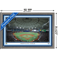 thumbnail image 3 of MLB Tampa Bay Rays - Tropicana Field 22 Wall Poster, 14.725" x 22.375" Framed, 3 of 5