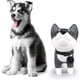 thumbnail image 3 of Cute Dog Bank, Husky Coin Bank Kids Toy Bank Doggy Puppy Piggy Bank, 3 of 5