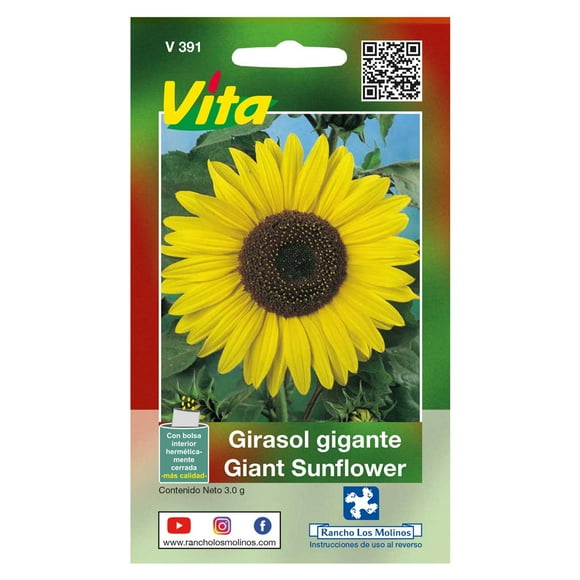 Semillas Girasol Gigante Vita
