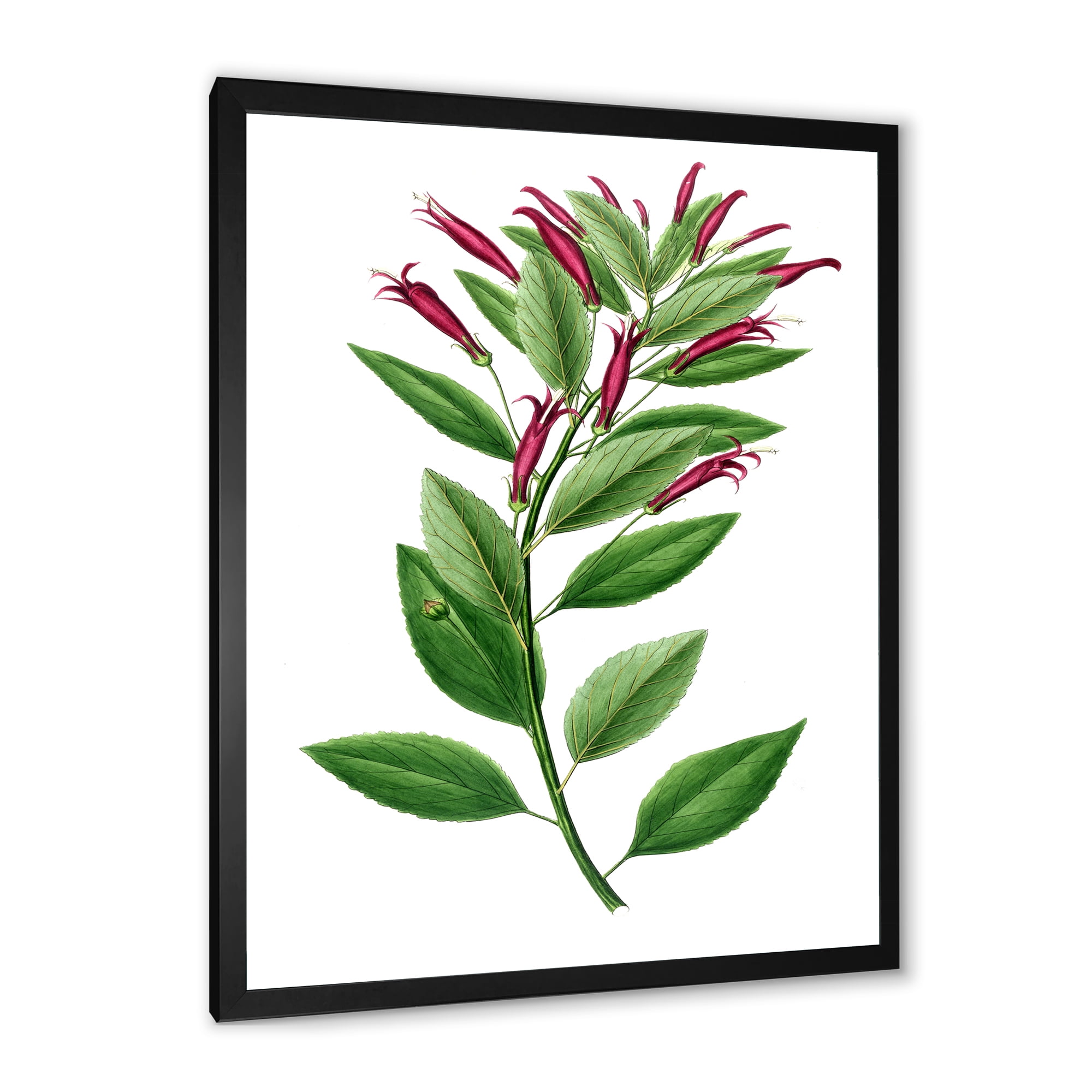 Designart 'Ancient American Flora V' Traditional Framed Art Print