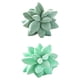 thumbnail image 1 of Almohada de cactus suculentas,Almohada decorativa Cojín de muñecos de peluche,3D Suculentas Cactus Almohada Sofá Sofá Decoración,Cojines de plantas verdes para la decoración del, 1 of 8