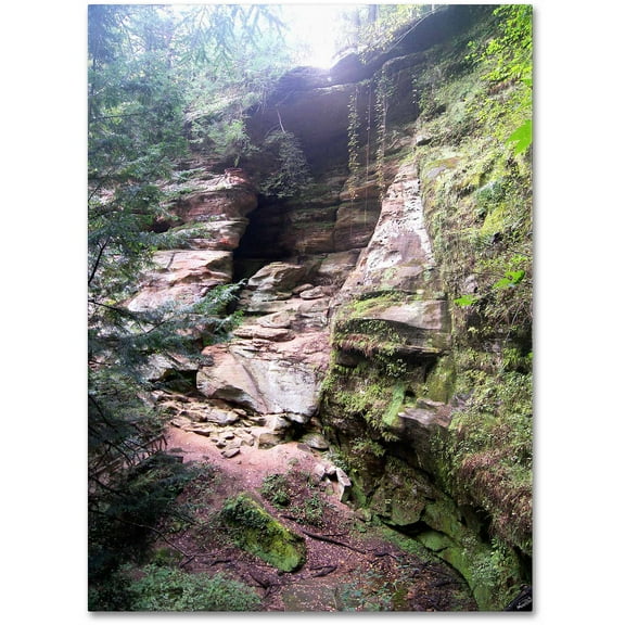 Trademark Fine Art "Powerful Walls" Canvas Art by Monica Fleet