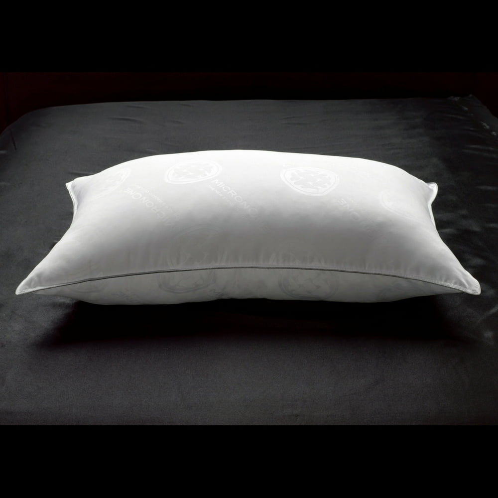 Allergy Free Extra Filled White Goose Down Side/Back Sleeper Pillow