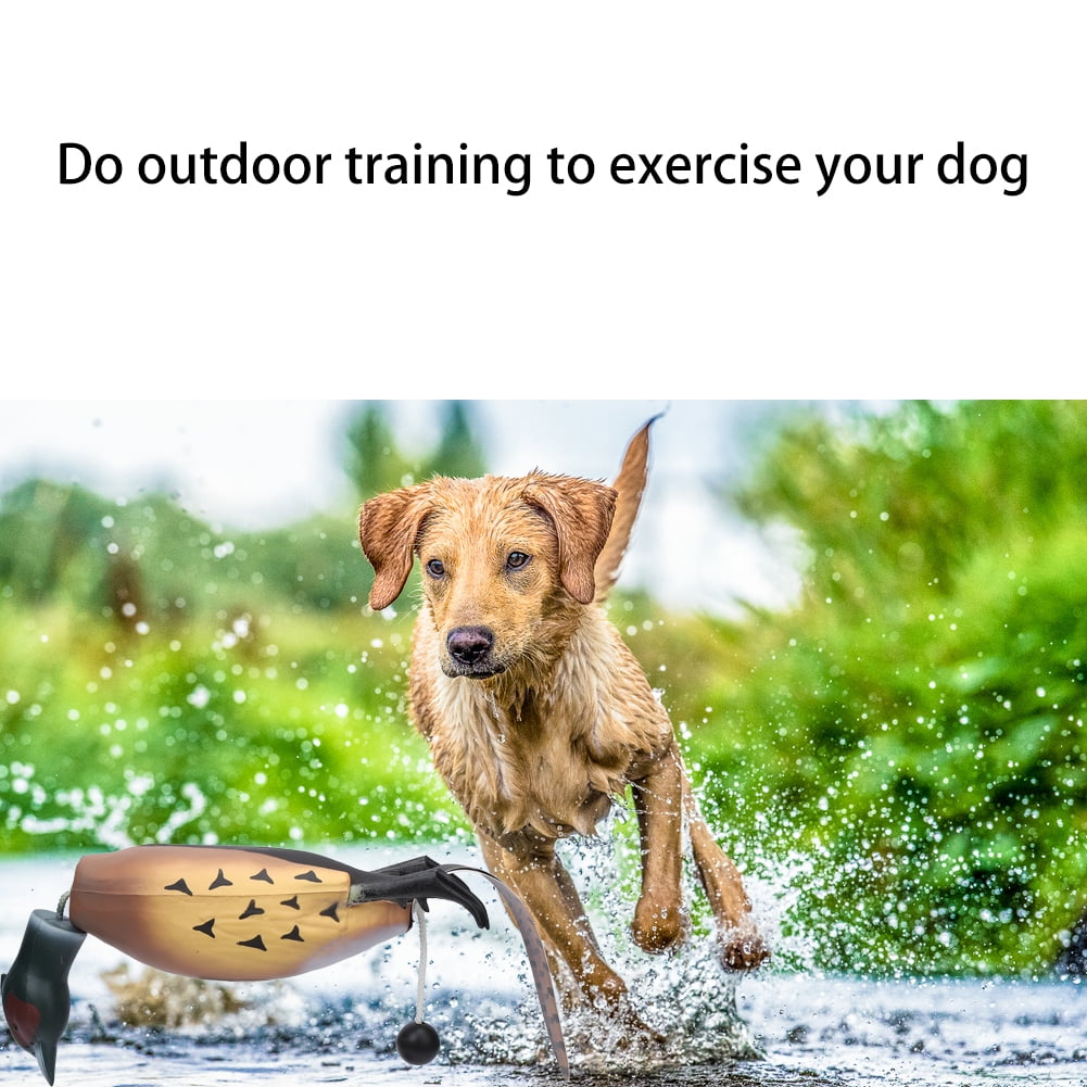 YardGo Duck Dog Toy, Training Dummy Retrieving Dog Toy Duck Bumper Retriever, Pheasant Dog Toy, Duck Rope Toy, Dog Training Toy for Small, Medium and Large Dogs