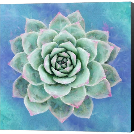 Succulent I by Cora Niele, Canvas Wall Art