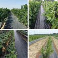 thumbnail image 4 of Estera de control de malezas para invernadero, tela para cubrir plantas antihierba para jardinería (1x5m) Hugtrwg Para estrenar, 4 of 9