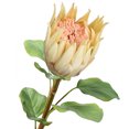 thumbnail image 1 of Coofit Artificial Flower Lifelike Protea Flower Arrangement Vase Flower for Wedding, 1 of 5