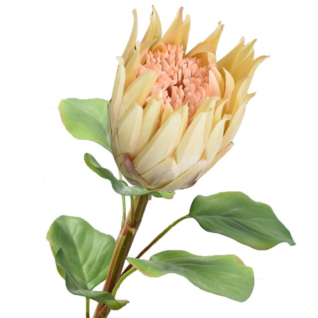 Coofit Artificial Flower Lifelike Protea Flower Arrangement Vase Flower for Wedding