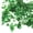 Green, variant on Decorative stone, glass stone, 1 pound (approx. 460 grams) of irregularly shaped sea glass pebbles, artificial glazed crystal stone, suitable for vase filling, table decoration, and aquariums
