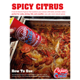 thumbnail image 2 of Cajun Nation Spicy Citrus Seafood Boil Seasoning, 16 oz, 2-Pack – Low Sodium, No MSG, Gluten-Free – Instant Louisiana Boil Mix for Crawfish, Shrimp, and Crab, 2 of 7