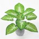 thumbnail image 2 of s artificiales Árbol Epipremnum Aureum s artificiales árbol Vegetación , Mini artificial Bonsai Adornos de es perfecl Hojas de taro artificial, 2 of 8