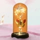 thumbnail image 4 of Teissuly 8.66x4.33inch Valentine's Day Rose Gift for Women , Colorful Rose Luminous Flower Glass Cover, Gift for Women, Mom, Valentine's Day, Anniversary, Birthday Teissuly WER202312024213, 4 of 6