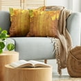 thumbnail image 5 of Ambesonne Fall Throw Pillow Cover 2 Pack, Leaves on Wooden Planks, 18", Yellow Orange Green, 5 of 5