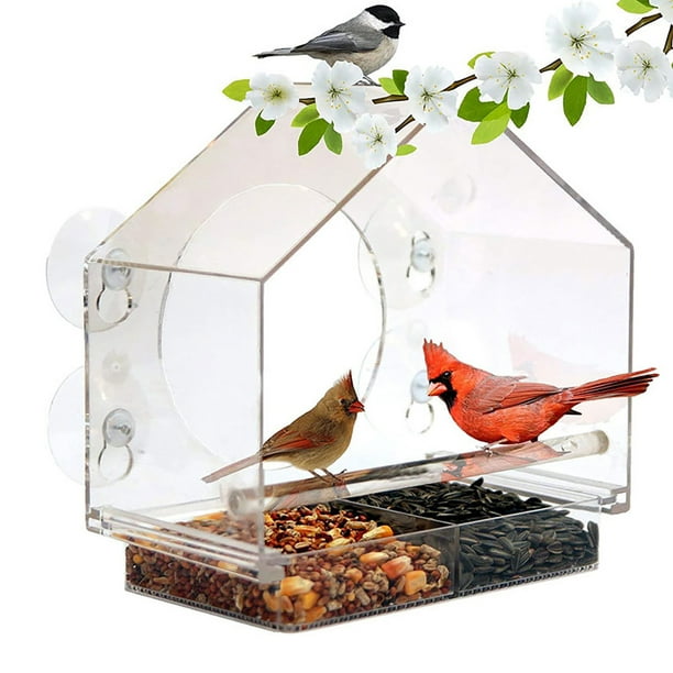 Mangeoire à oiseaux transparente en acrylique, ventouse, nichoir