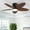 White, variant on PHORUS 42'' Outdoor Ceiling Fan with Light and Remote,5 Palm Leaf Blades Ceiling Fan,Low Profile Tropical Energy Efficient Ceiling Fans for Outdoor,Indoor,Brown