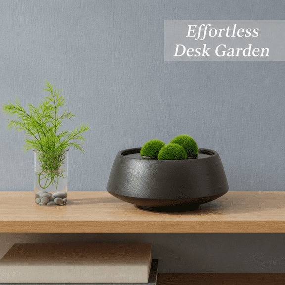 5.71 x 5.71 x 2.76 in Hole-free Ceramic Multipurpose Desktop Planter Pot
