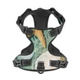 thumbnail image 4 of Gaeub Starfish And Seashell Gaeub Starfish And Seashell No Pull Dog Harness, Secure and Adjustable Pet Vest for Outdoor Activities - Small, 4 of 9