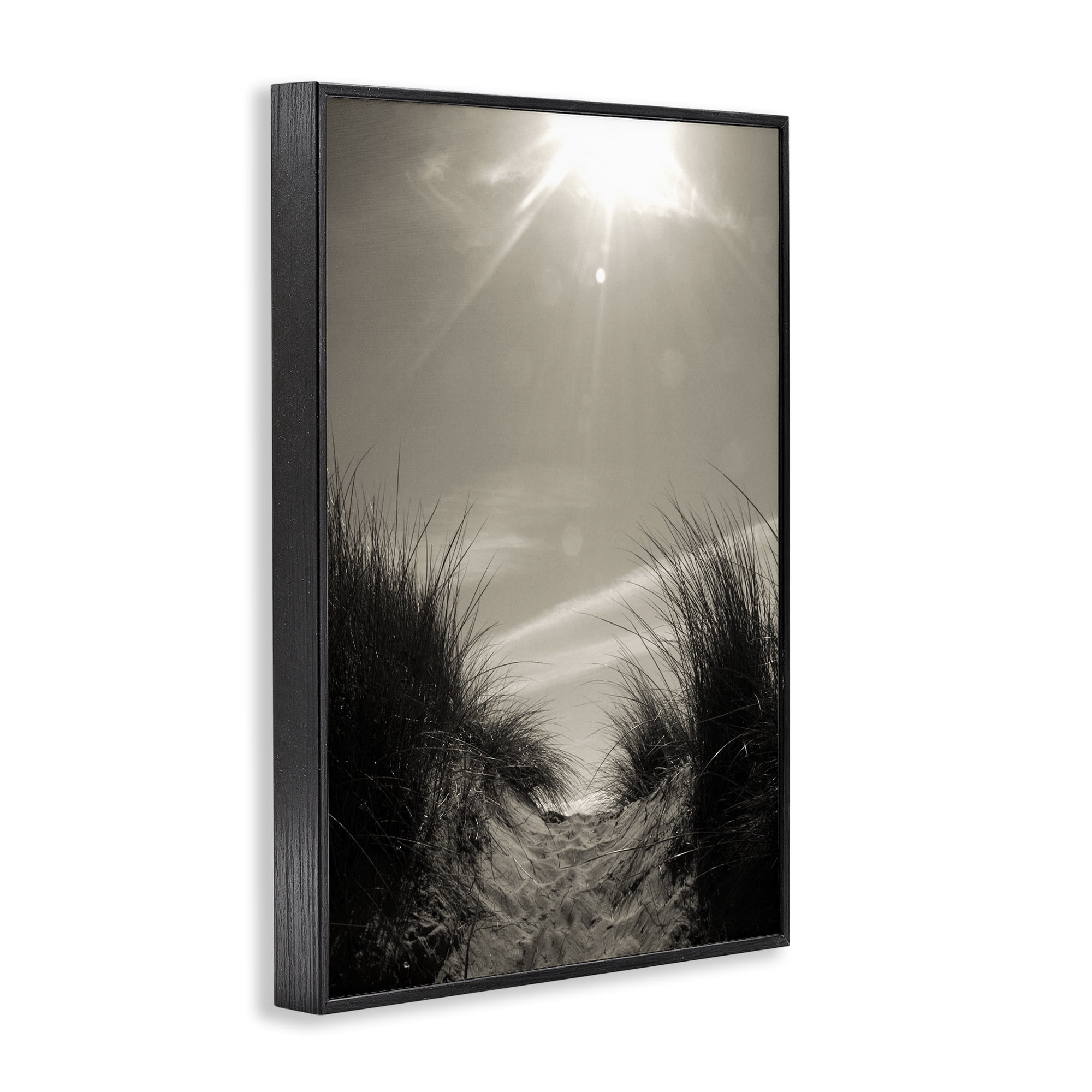 Stupell Industries Dune Valley Landscape Coastal Photography Black Framed Art Print Wall Art, 12 x 18