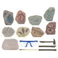 thumbnail image 2 of de excavación para , juguetes de excavación DIY, modelo de esqueleto de dinosaurio para Paleontología Macarena Juguetes de excavación, 2 of 8