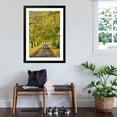 thumbnail image 3 of Art.com Avenue of autumn beech trees with colourful yellow leaves, Newbury, Berkshire, England Photographic Print by Stuart Black, Black Frame Wall Art, 32" x 44", 3 of 5