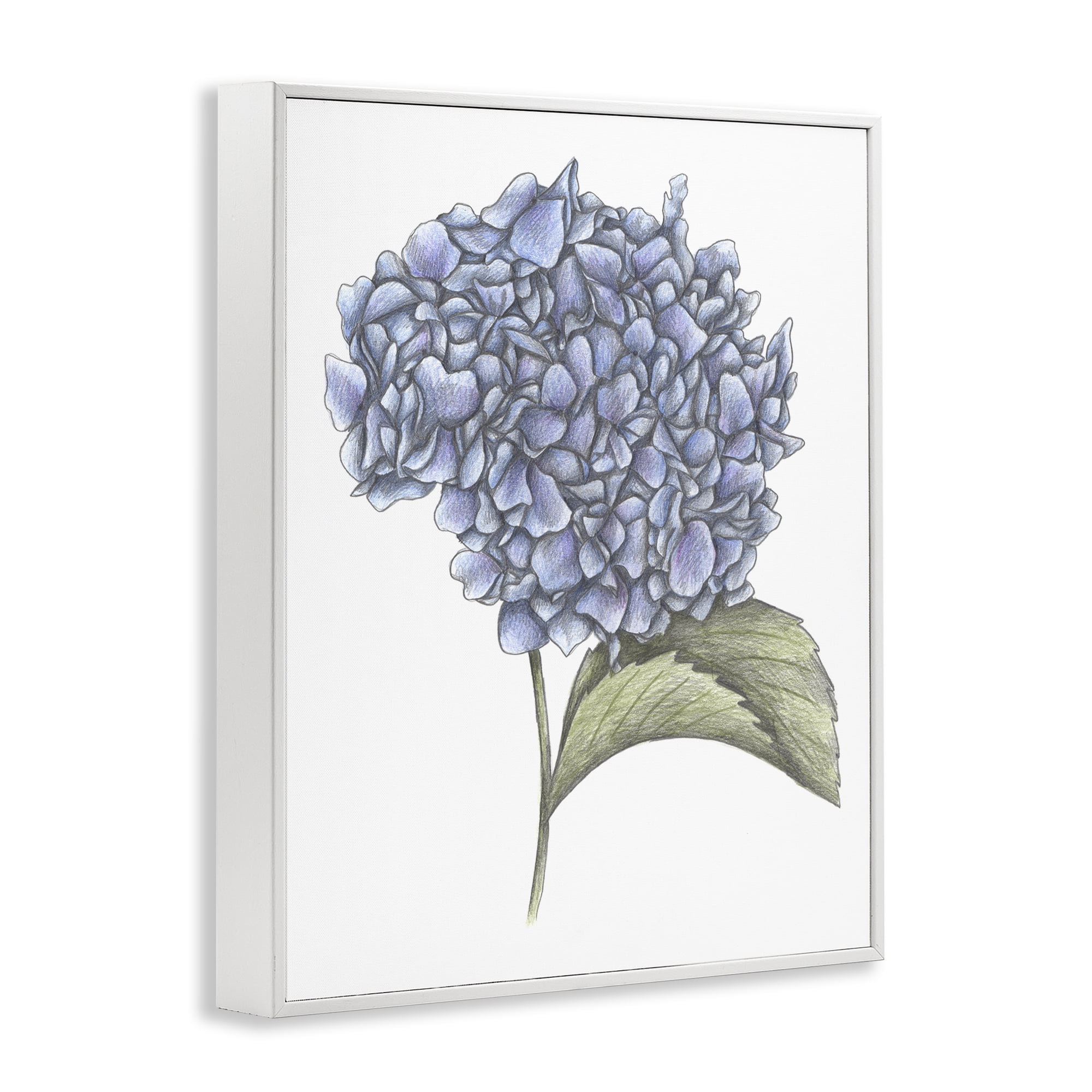 Hydrangea Sketch Blossom White Framed Giclee Art, design by Cecilia Battaini