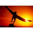 thumbnail image 2 of Welling, Dave 32x23 Gold Ornate Wood Framed with Double Matting Museum Art Print Titled - CO, A falconers golden eagle takes flight, 2 of 4