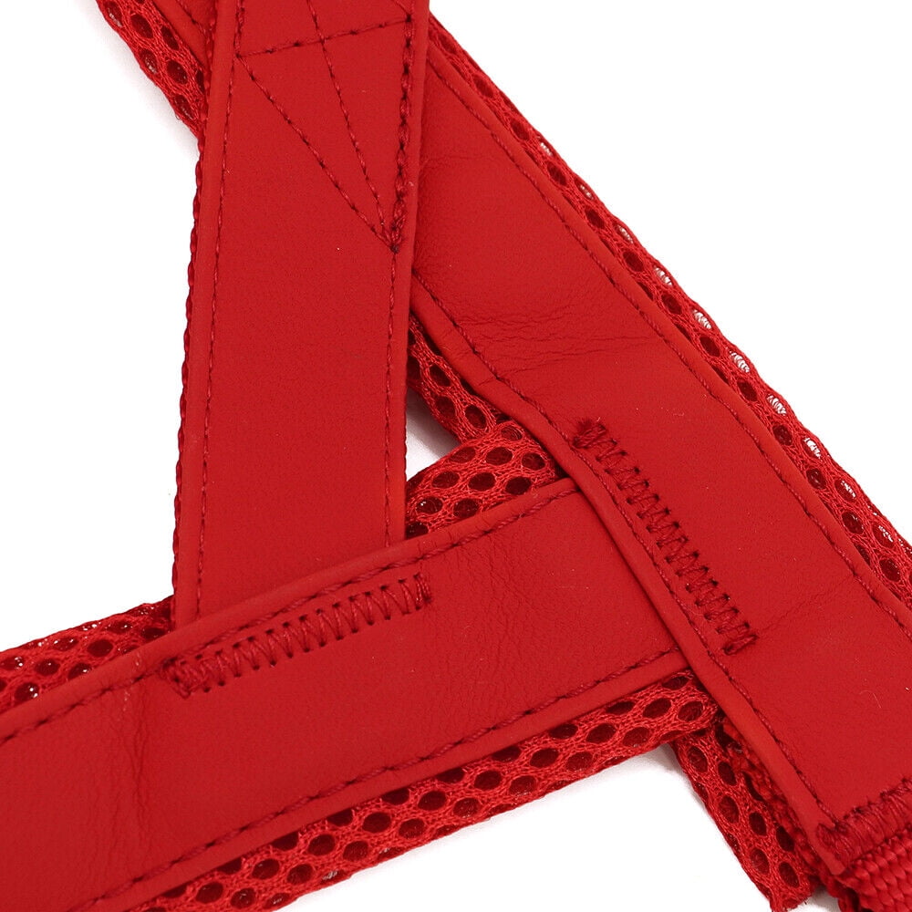Didog No Pull Dog Harness Personalized Name Buckle Engraved Breathable Mesh Red Blue