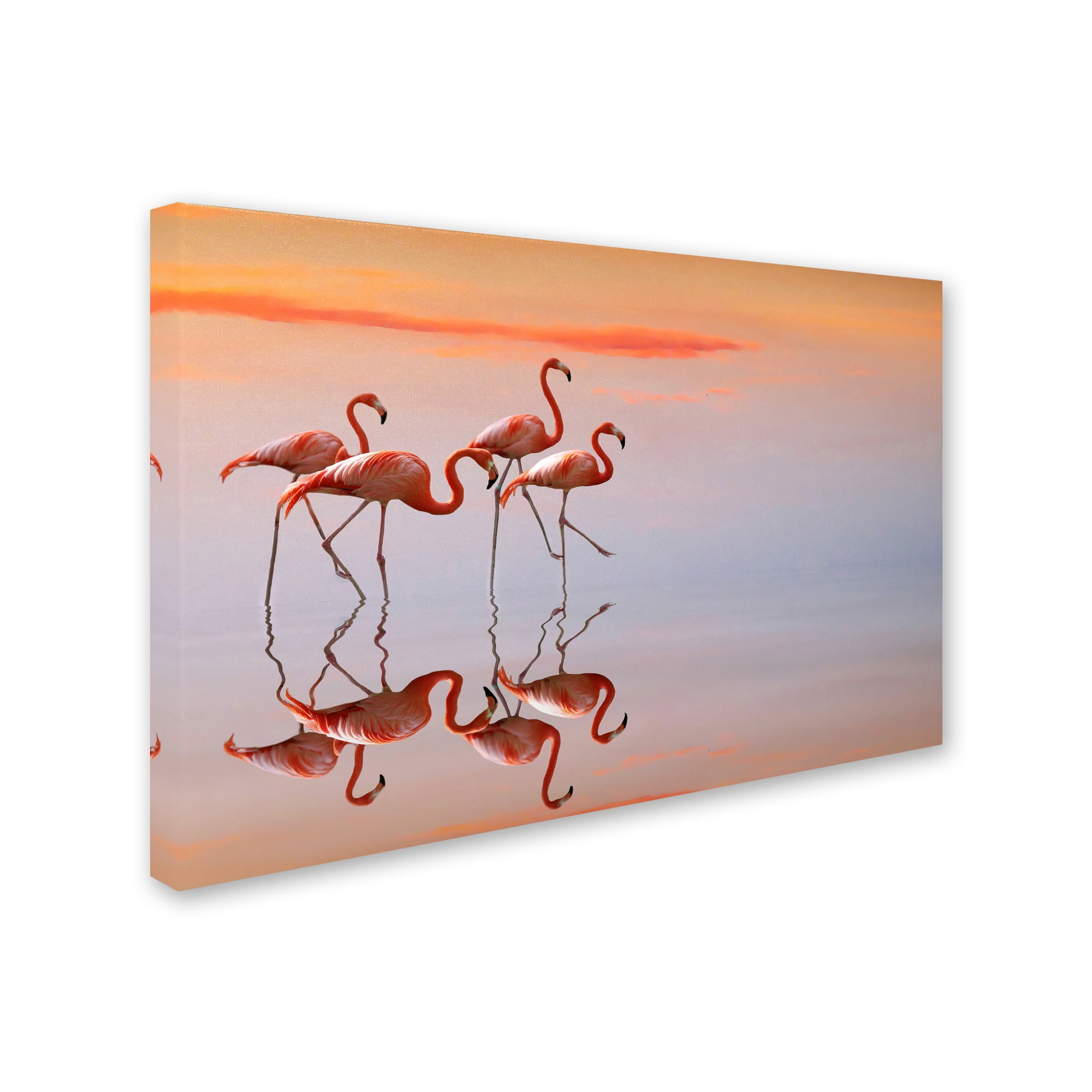 Trademark Fine Art 'Flamingo Parade' Canvas Art by Anna Cseresnjes