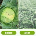 thumbnail image 2 of Garden Mosquito Bug Bird Insect Netting Net Protect Plant Vegetables Fruits Flowers Crops 10*30ft, 2 of 9