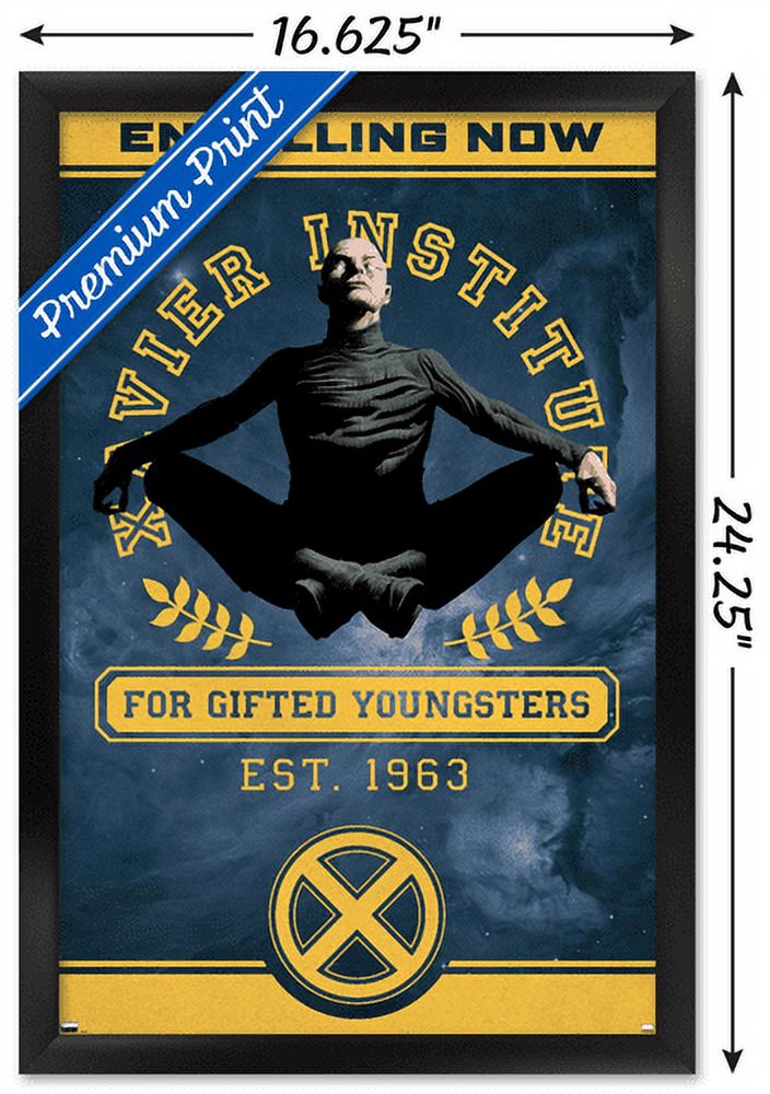 Marvel Comics - The X-Men - XaVier Institute Wall Poster, 14.725" x 22.375", Framed