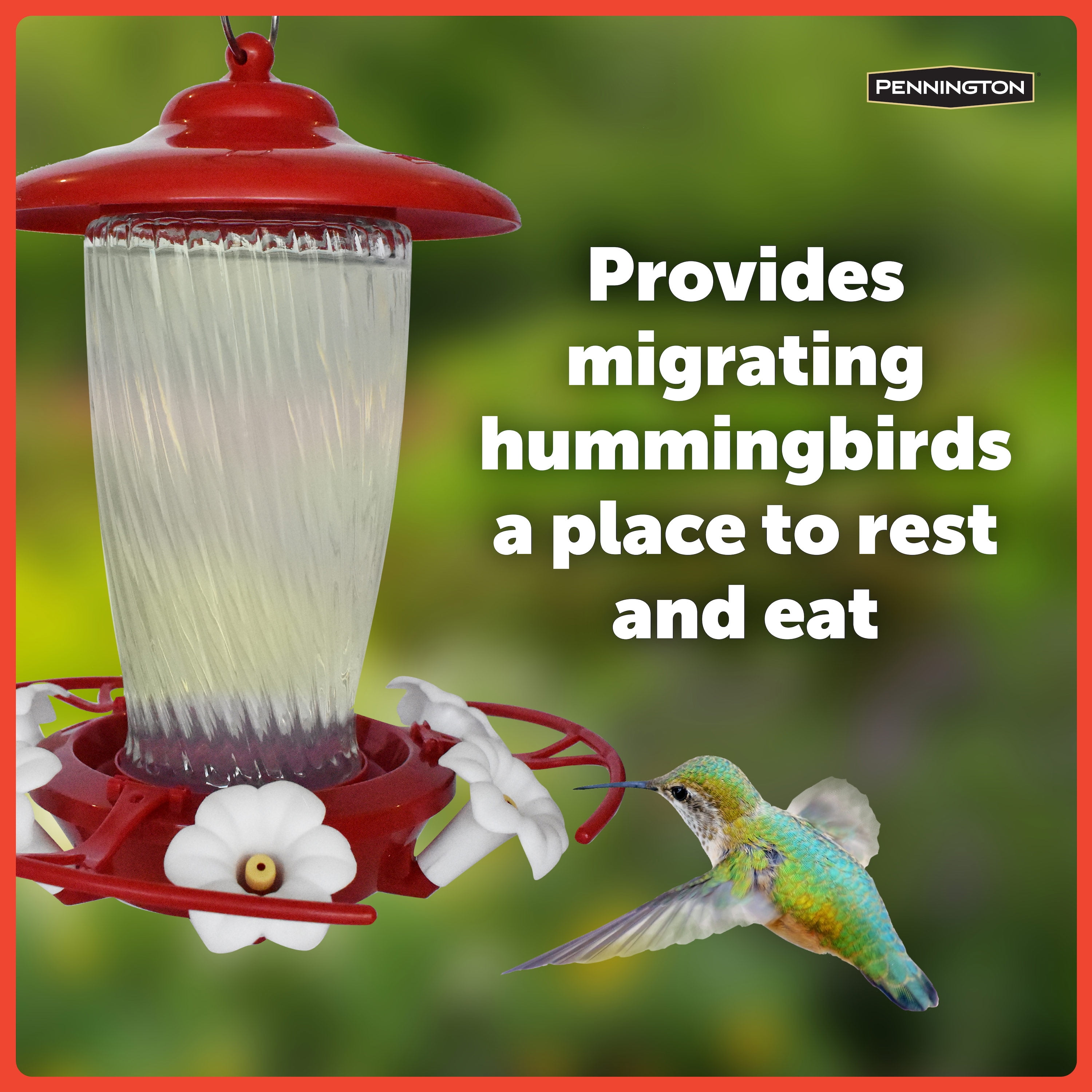 Pennington 32 Oz Decorative Glass Hummingbird Feeder Shelly Lighting