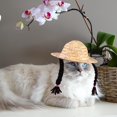 thumbnail image 1 of unbranded Sombrero Para Tejido En Paja Con Y Transpirable Para Protección Solar, 1 of 8