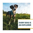 thumbnail image 2 of Ruffwear, Hi & Léger, Harnais Léger pour Chien, Course de Trail, Marche, Randonnée, Tenue Toute la Journée, Gris Basalte, TTP, 2 of 9
