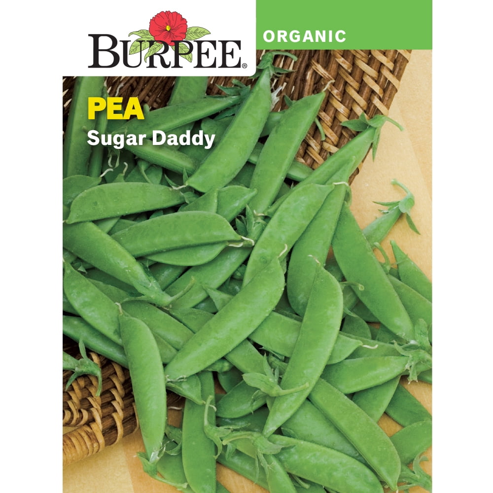 Burpee Organic Sugar Daddy Pea Vegetable Seed, 1-pack - Walmart.com