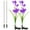 Purple, variant on Spencer 2 Pack Outdoor Solar Garden Stake Lights Solar Powered Lights with 8 Lily Flowers, 7 Color Changing LED Solar Garden Lights for Patio, Yard, Lawn, Pathway (Red)