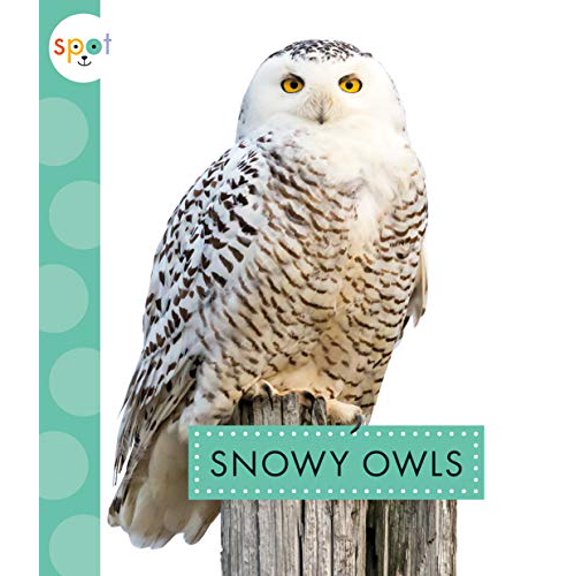 Pre-Owned Snowy Owls (Paperback) 1681525283 9781681525280