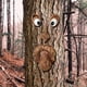 thumbnail image 4 of Cara de árbol estatua al aire libre anciano árbol abrazando corteza mueca decoración de rasgos faciales, 4 of 5