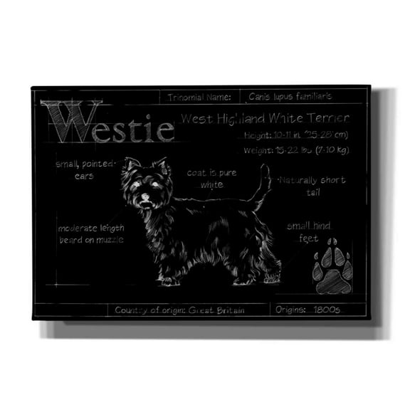 Epic Graffiti 'Blueprint Westie II' by Ethan Harper, Canvas Wall Art, 26"x18"