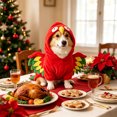 thumbnail image 6 of PET Parrot Costume, a Red Polyester Parrot-Style Costume Sized for the Selected PET Variation, for Dogs, Cats, PET Parties, Photos, and Playful Seasonal Dress-up, Red, Size L, Practical Home Use, 6 of 7