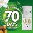thumbnail image 2 of Air Wick Plug-in Scented Oil Air Freshener Warmer Refills, Warm Woods and Jasmine, 2 Count, 2 of 3