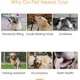 thumbnail image 2 of Squeaky Dog Toys, Plush Dog Chew Toys for Puppy Teething, Pet Training and Entertaining, Durable Interactive Dog Toys for Small, Medium, and Large Dog, 2 of 4