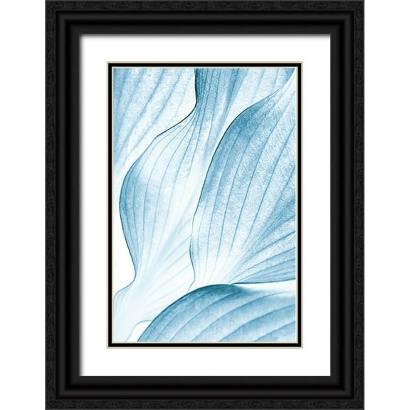 Buelow, Beth 11x14 Black Ornate Wood Framed with Double Matting Museum Art Print Titled - Icy Waves
