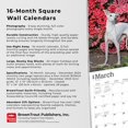 thumbnail image 2 of BrownTrout Italian Greyhounds 2024 12x24 Inch Square Wall Calendar, 9781975470708, 2 of 8